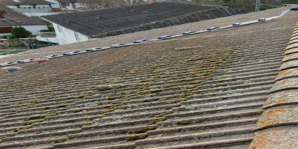 Nettoyage de toiture à Montereau-Fault-Yonne — avant (chantier 1)